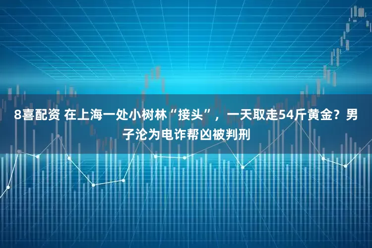 8喜配资 在上海一处小树林“接头”，一天取走54斤黄金？男子沦为电诈帮凶被判刑
